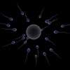 sperm_attack100x100-2-1