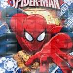 bonbonbuddies_spiderman400