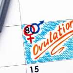 reminder-ovulation-in-calendar-with-orange-pen-picture-id893534018