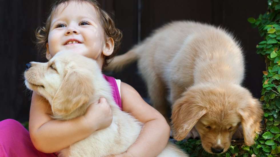 Lapsen eläinallergia: miten se kehittyy, ja pitääkö lemmikistä luopua? |  Vauva 